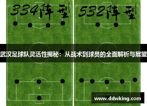 武汉足球队灵活性揭秘：从战术到球员的全面解析与展望
